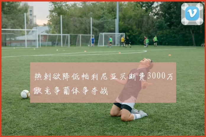 热刺欲降低帕利尼亚买断费3000万欧竞争葡体争夺战